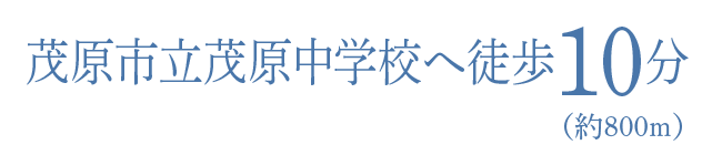 茂原市立茂原中学校へ徒歩10分（約800ｍ）